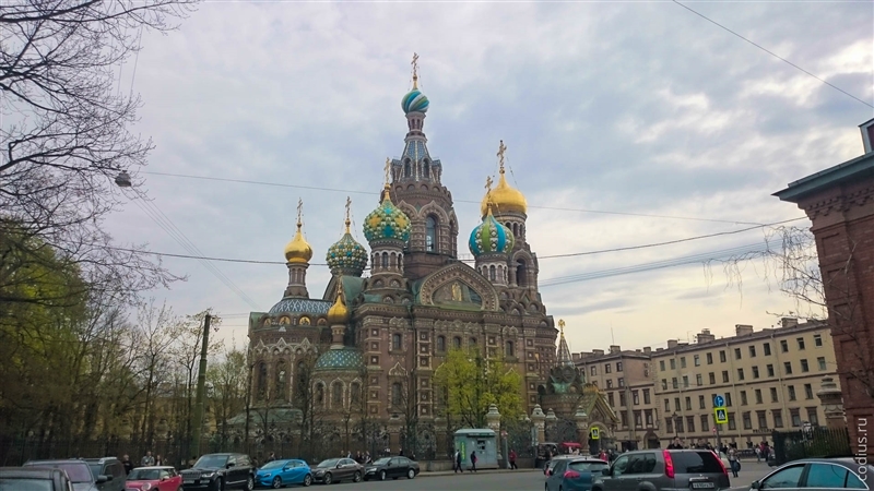 Да-да, именно он — все в шаговой доступности